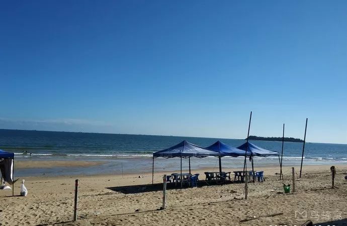 提醒吃海鲜的人们,广西开海节吃海鲜