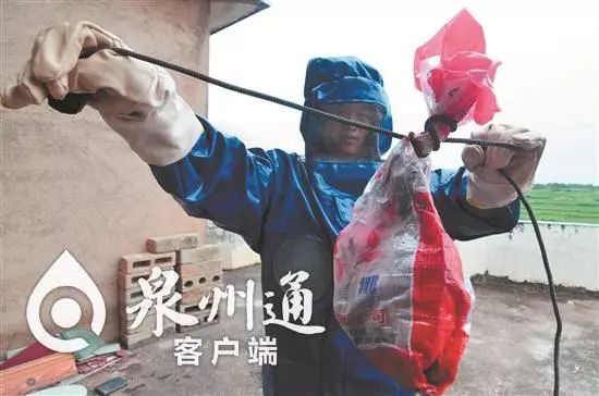 谨慎毒虫视频,警惕这种虫有人被咬后差点没命