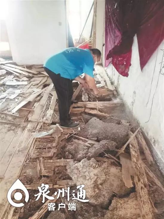 谨慎毒虫视频,警惕这种虫有人被咬后差点没命