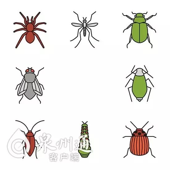 谨慎毒虫视频,警惕这种虫有人被咬后差点没命