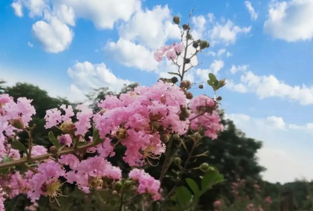 永年城区改造,永年城镇化建设