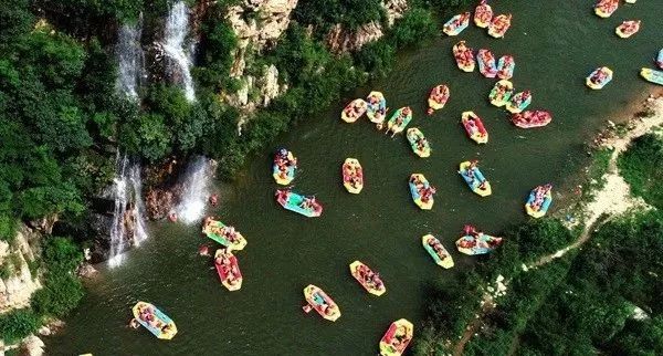 洛阳近期有哪些重要新闻,洛阳有什么好消息