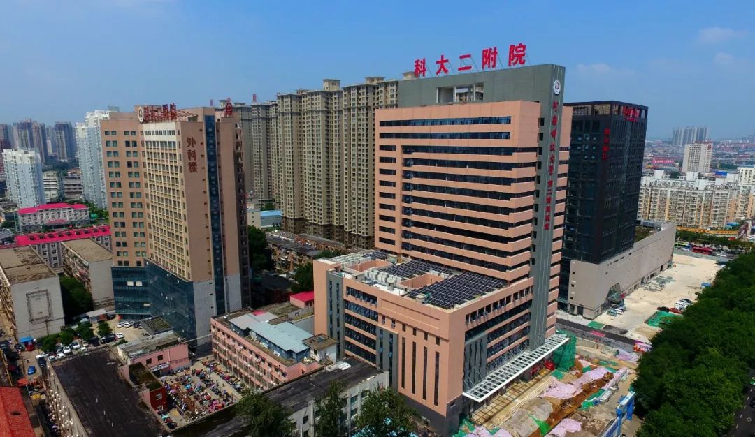 洛阳近期有哪些重要新闻,洛阳有什么好消息