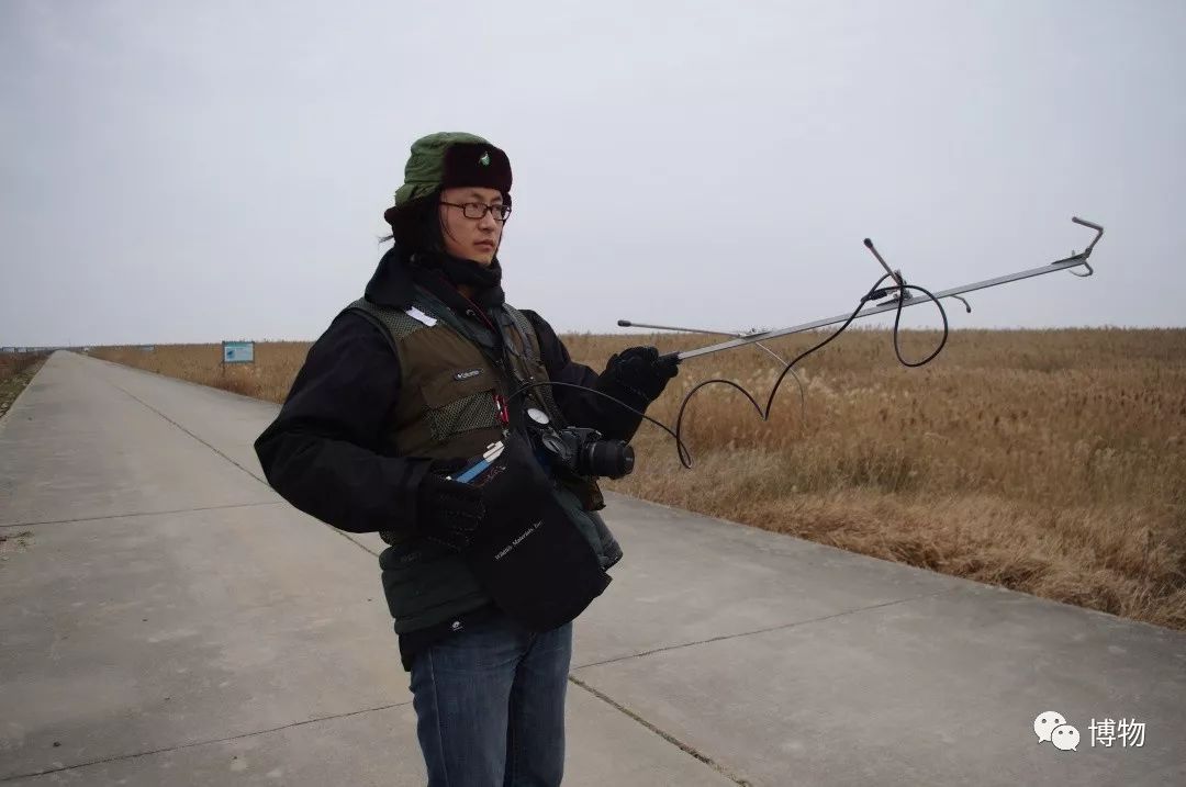 想研究野生动物?看看学这个专业的人都在干嘛吧
