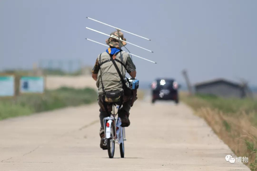 想研究野生动物?看看学这个专业的人都在干嘛吧