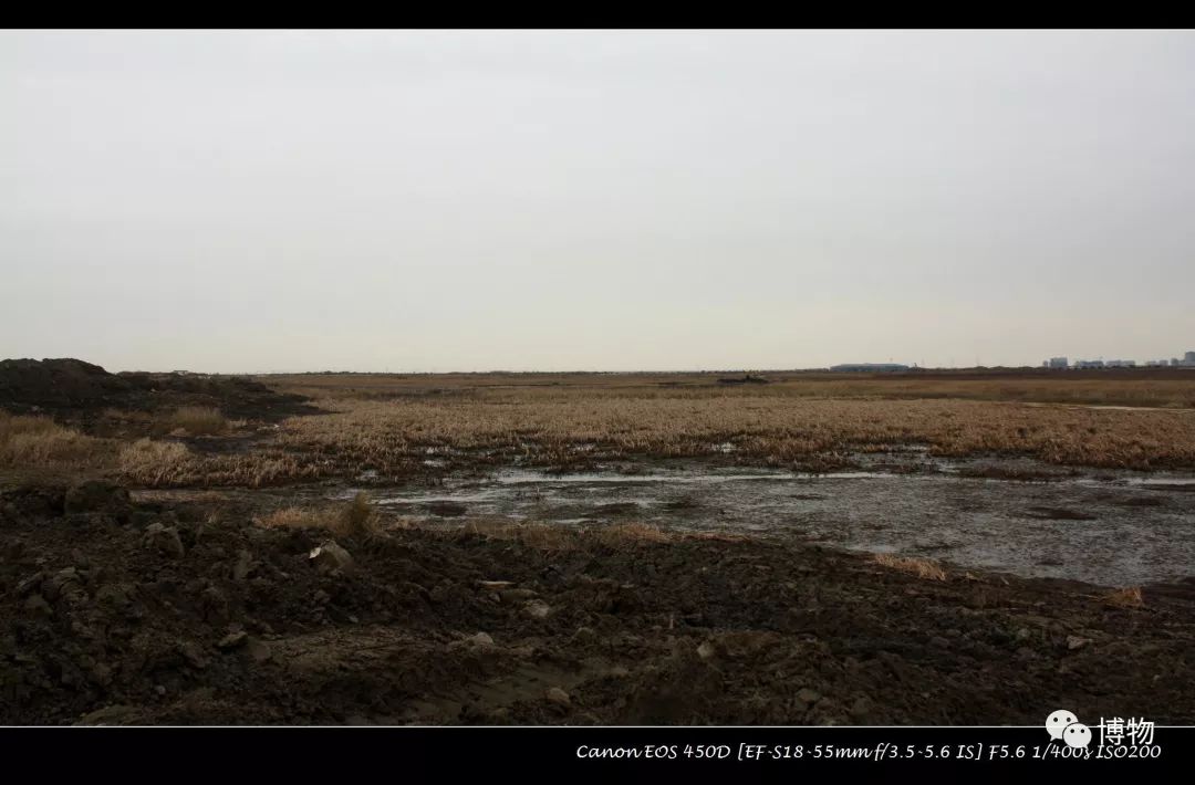想研究野生动物?看看学这个专业的人都在干嘛吧