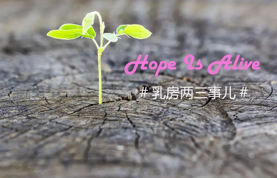 乳腺癌他莫昔芬生孩子,他莫昔芬治疗乳癌