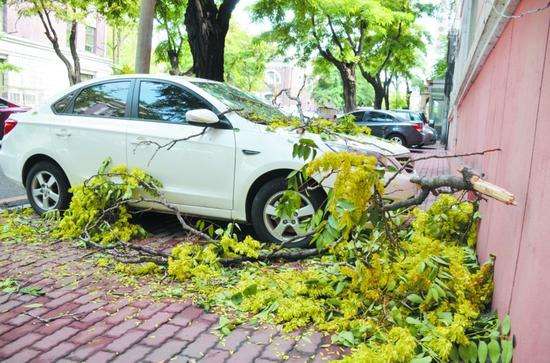 小q说保险,小q说车