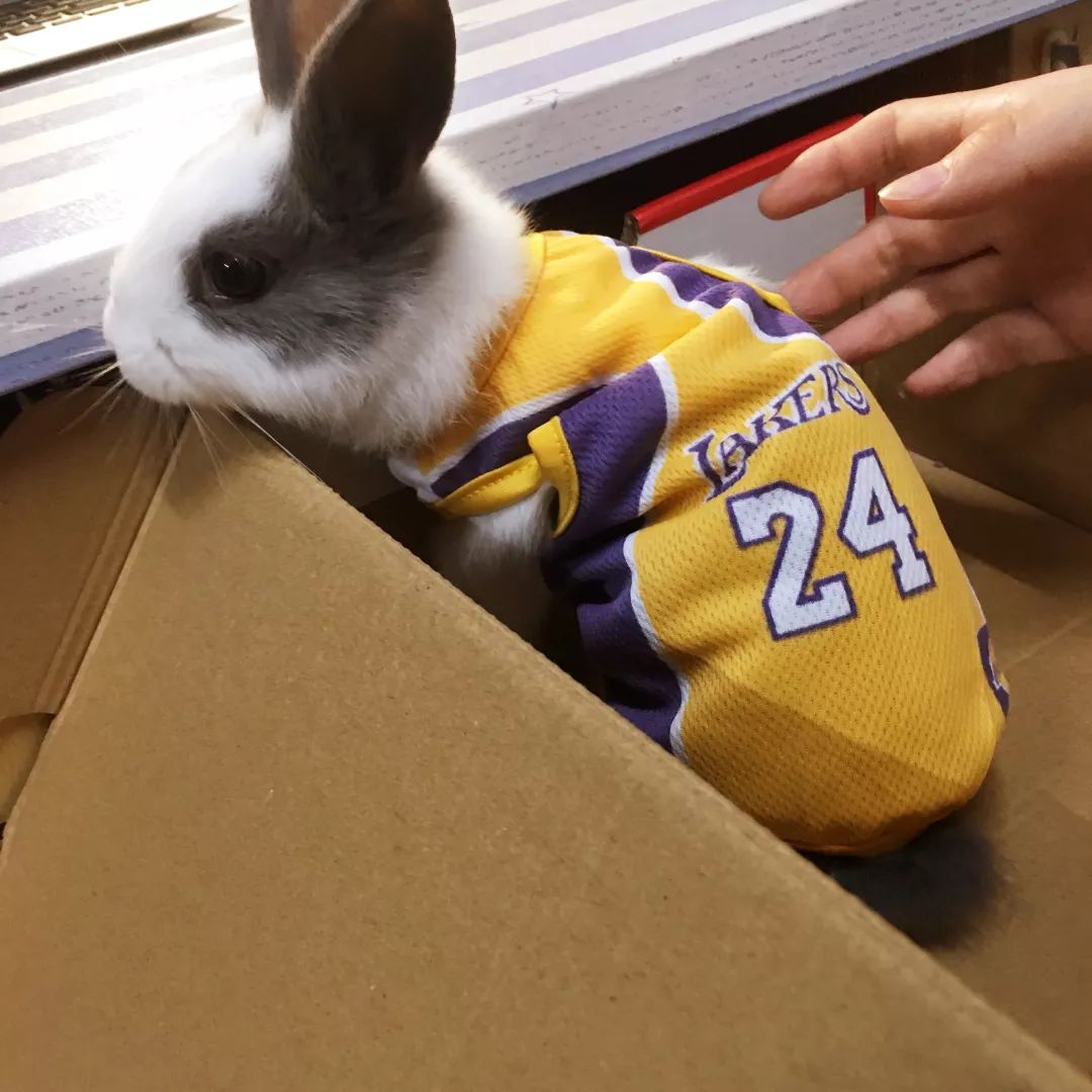 什么！？这是一个你没有见过的全新毒App社区