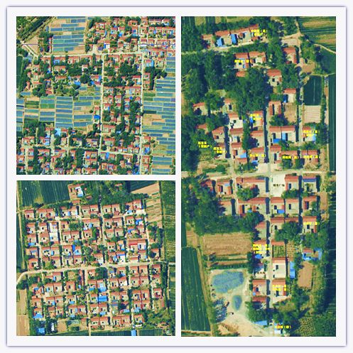 【人大评议专区·聚焦第一村医】以梦为马，以汗为泉，初心不忘，逐梦前行