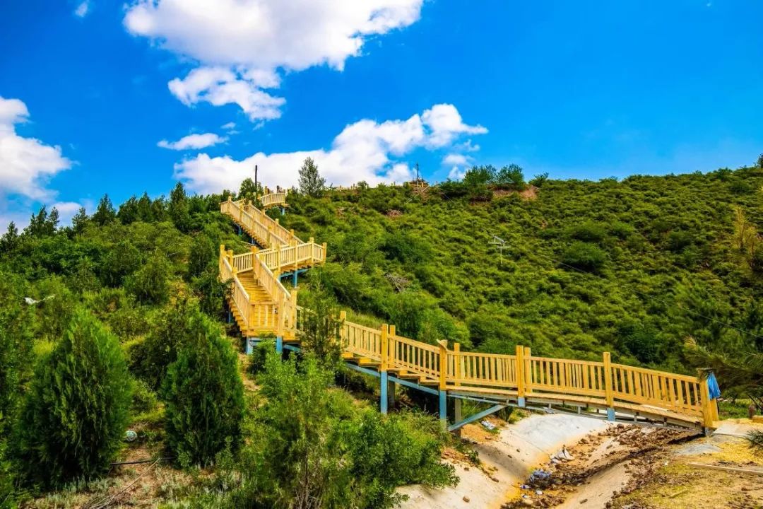 足球场高颜值视频,石家庄最高级足球场