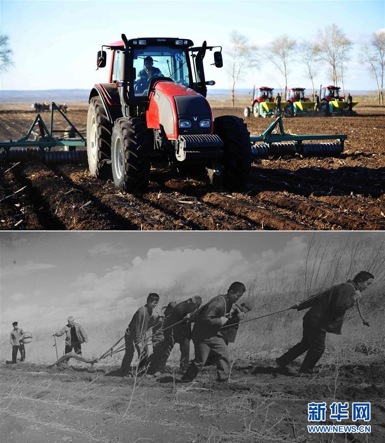 黑土龙腾新跨越——黑龙江省争当农业现代化排头兵巡礼