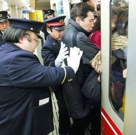 遛狗师一个月挣多少钱,遛狗师一年的工资