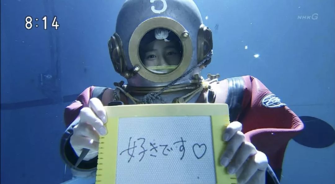 遛狗师一个月挣多少钱,遛狗师一年的工资