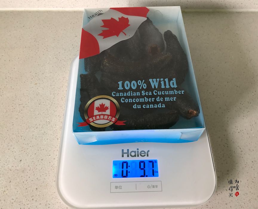 海参如何空运 (海参野生鉴别)