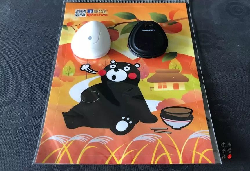 海参如何空运 (海参野生鉴别)