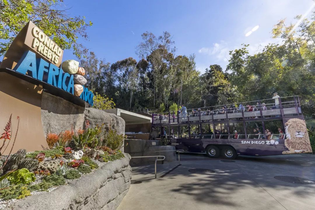 漫步圣地亚哥海边,圣地亚哥海岸风光