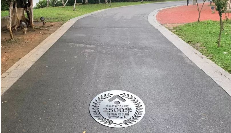 华阳湖湿地公园网红打卡地,华阳附近网红打卡景点室内