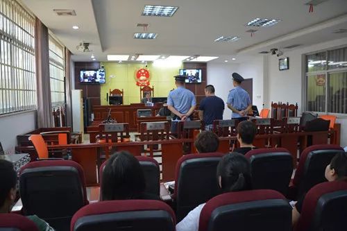 盐山县判决的组织卖淫案例,罗翔组织卖淫罪判决案例