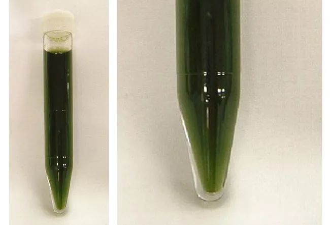 尿液各种颜色都代表什么病,尿液是五颜六色的怎么回事