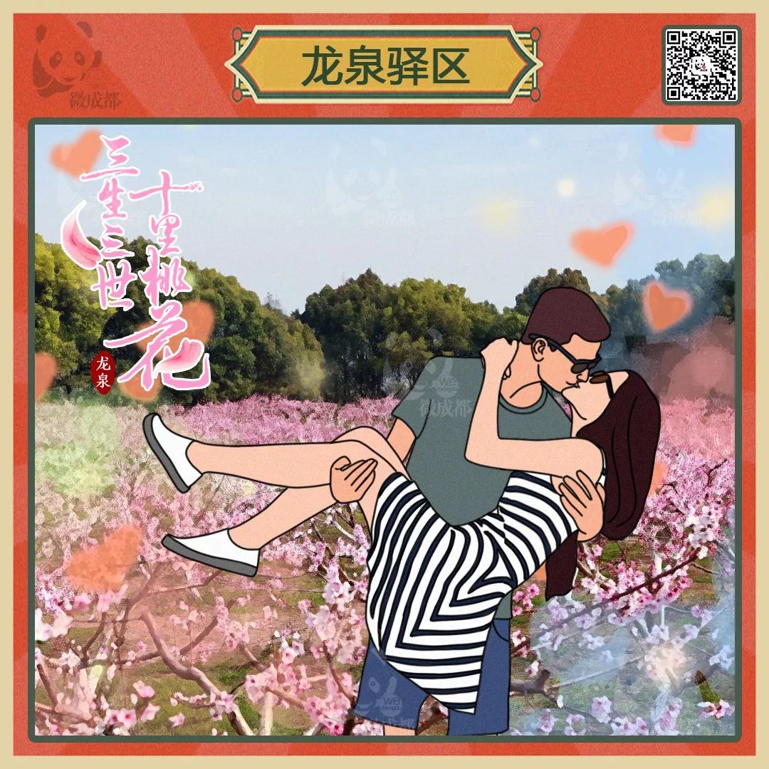 成都各区域居民烦恼图鉴,成都便民指南