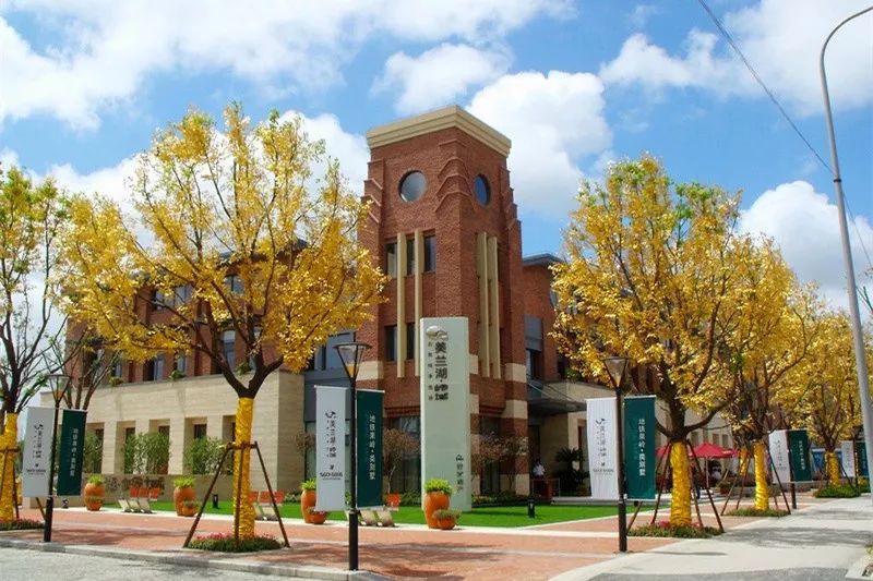 来到上海后的震撼,去了上海就去了全世界