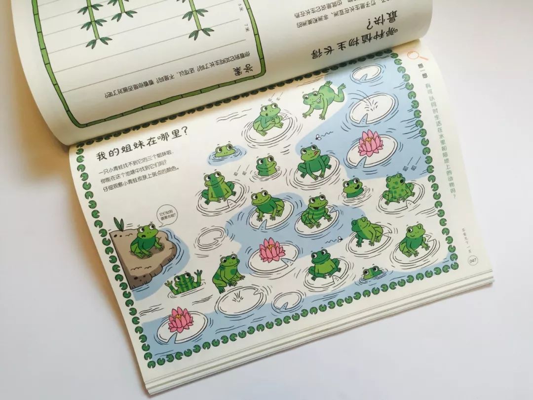 既能学习又能玩的地理游戏,可以学地理的游戏