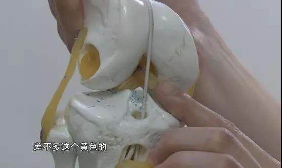 十字韧带撕裂什么感受,十字韧带撕裂是大伤病吗