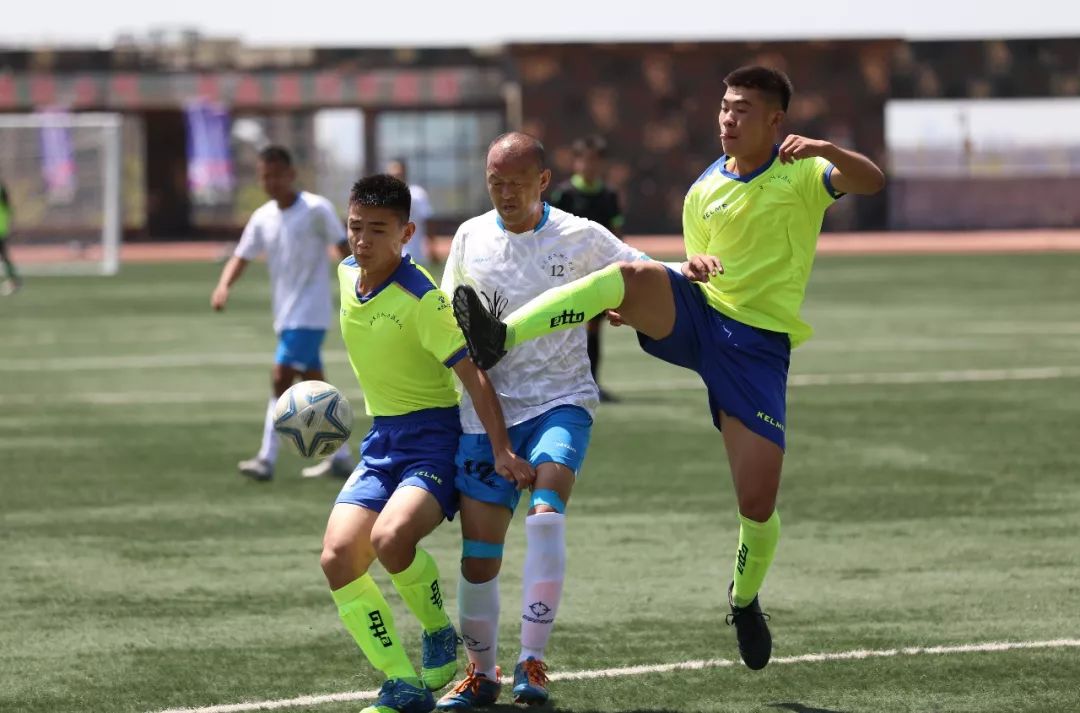 卫士动力杯,卫士动力怎么样