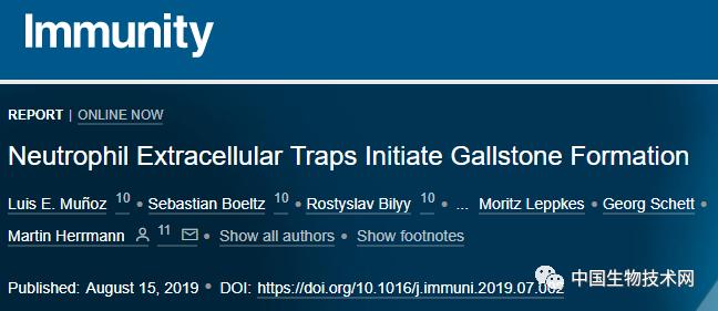 1.2大的胆结石是多长时间形成的,如何发现胆结石