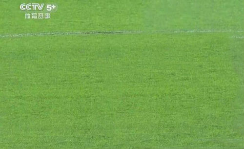 深圳佳兆业足球vs上港,深圳佳兆业vs天津津门虎