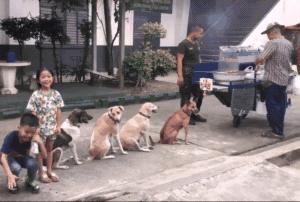 汪星人有哪些秘密,汪星人真实的秘密