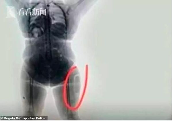 英国首相约翰逊目睹囚犯体内藏毒扫描照，竟被吓得连连*退倒**