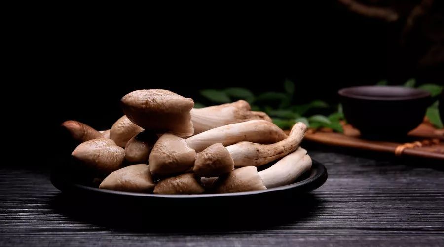 春城秀风光,春城秀昆明一座有温度的城市