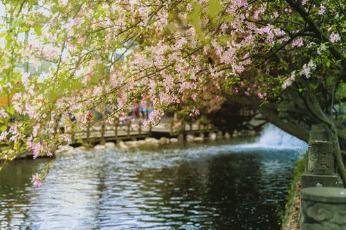 成都双流区旅游省钱攻略推荐,五一在双流适合去哪旅游