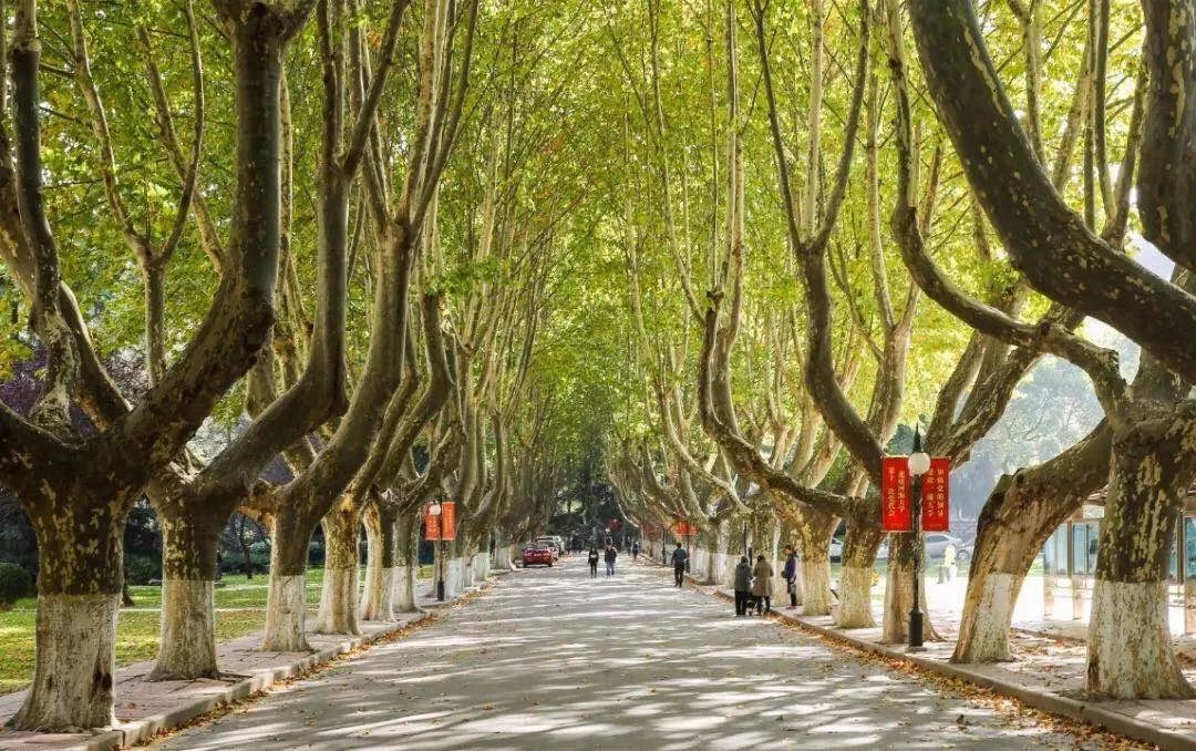 嗨，新同学你好，这里是河海大学！