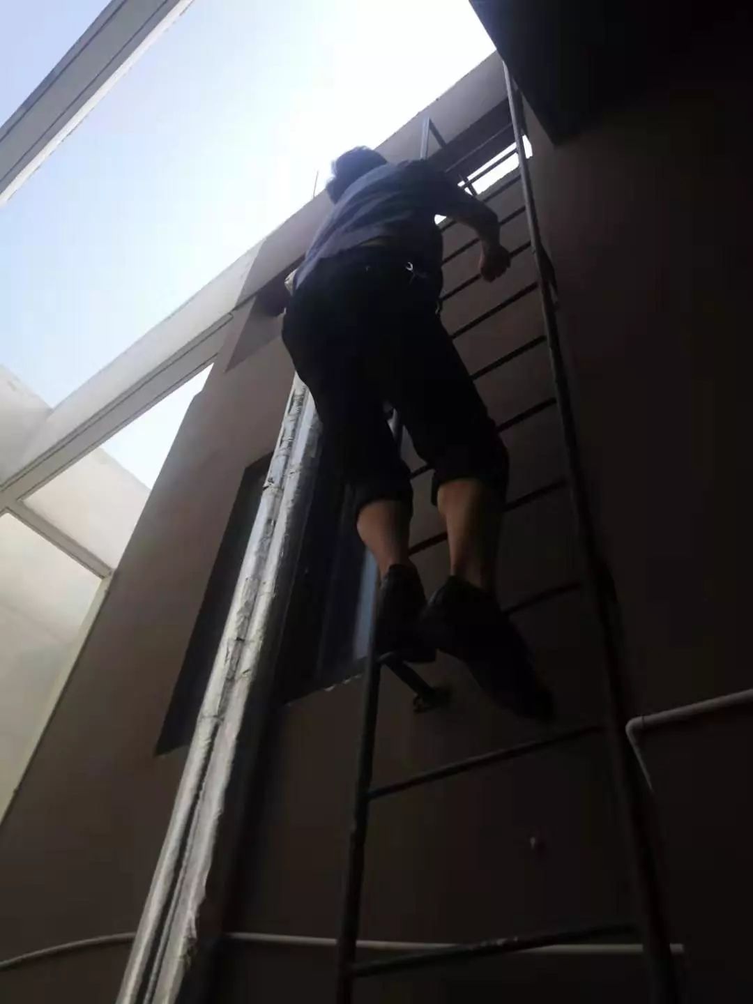 第四十六集丨用“聪颖”发现全新武汉