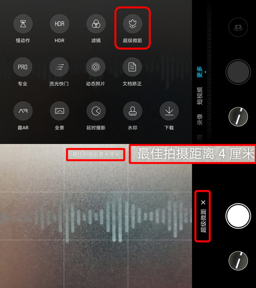 5个有关微距镜头的常见误解,最好的微距镜头推荐