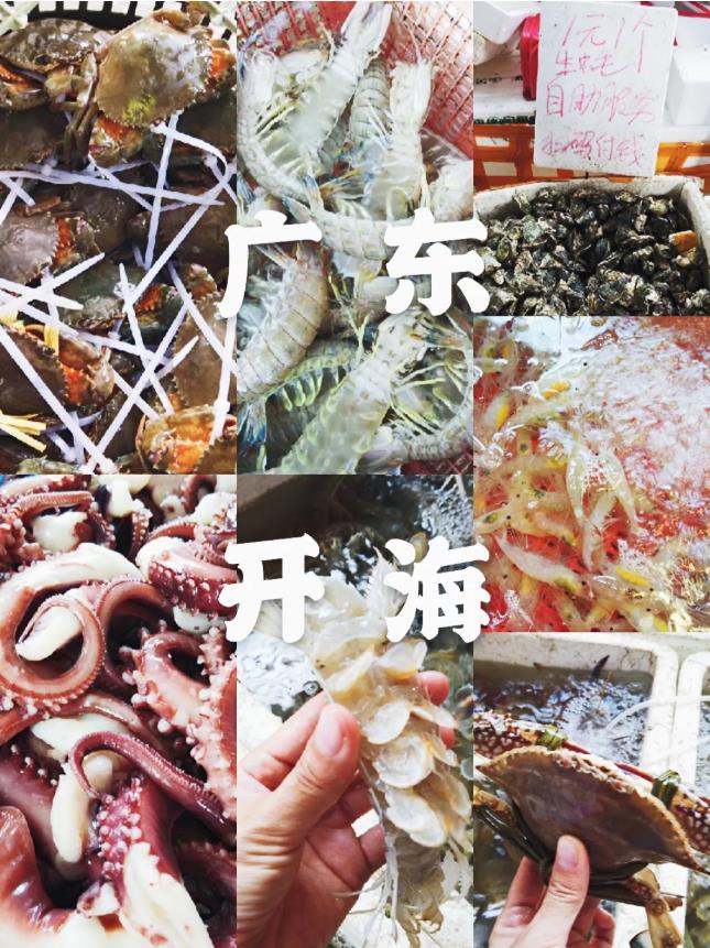 海鲜市场10元一只生蚝,海鲜生蚝一元一个