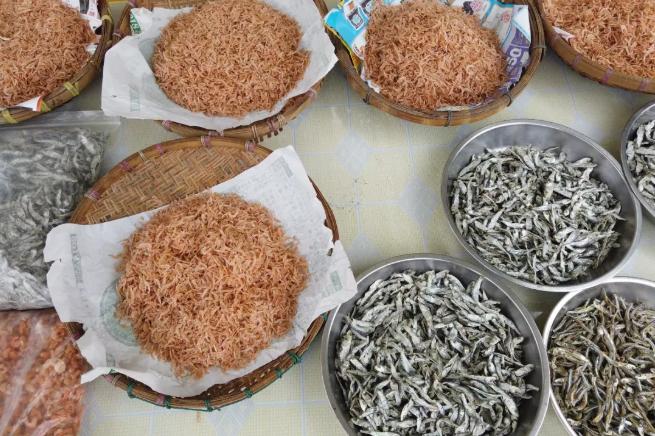 海鲜市场10元一只生蚝,海鲜生蚝一元一个