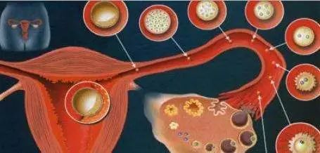 姨妈期量少如何调理,大姨妈来月经量少血块多怎么回事