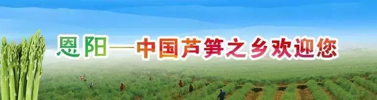 巴中市所有幼儿园收费标准是多少,巴中公办幼儿园一期多少钱