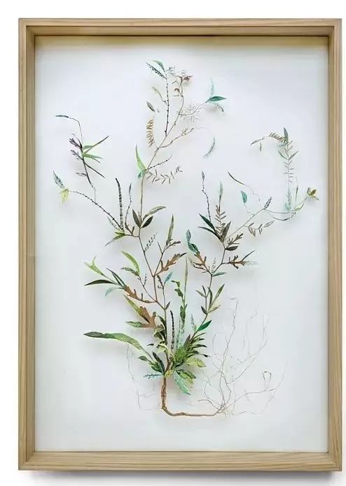 干花制作手工画,做手工diy干花