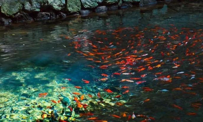 这些玉溪景点，你去打卡了没？