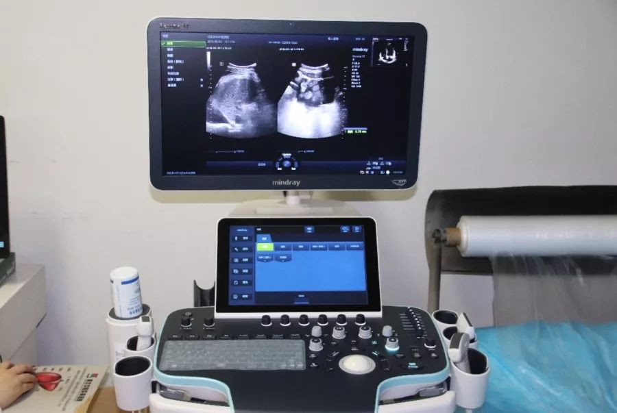 肝病救助计划,大型肝病公益救助活动