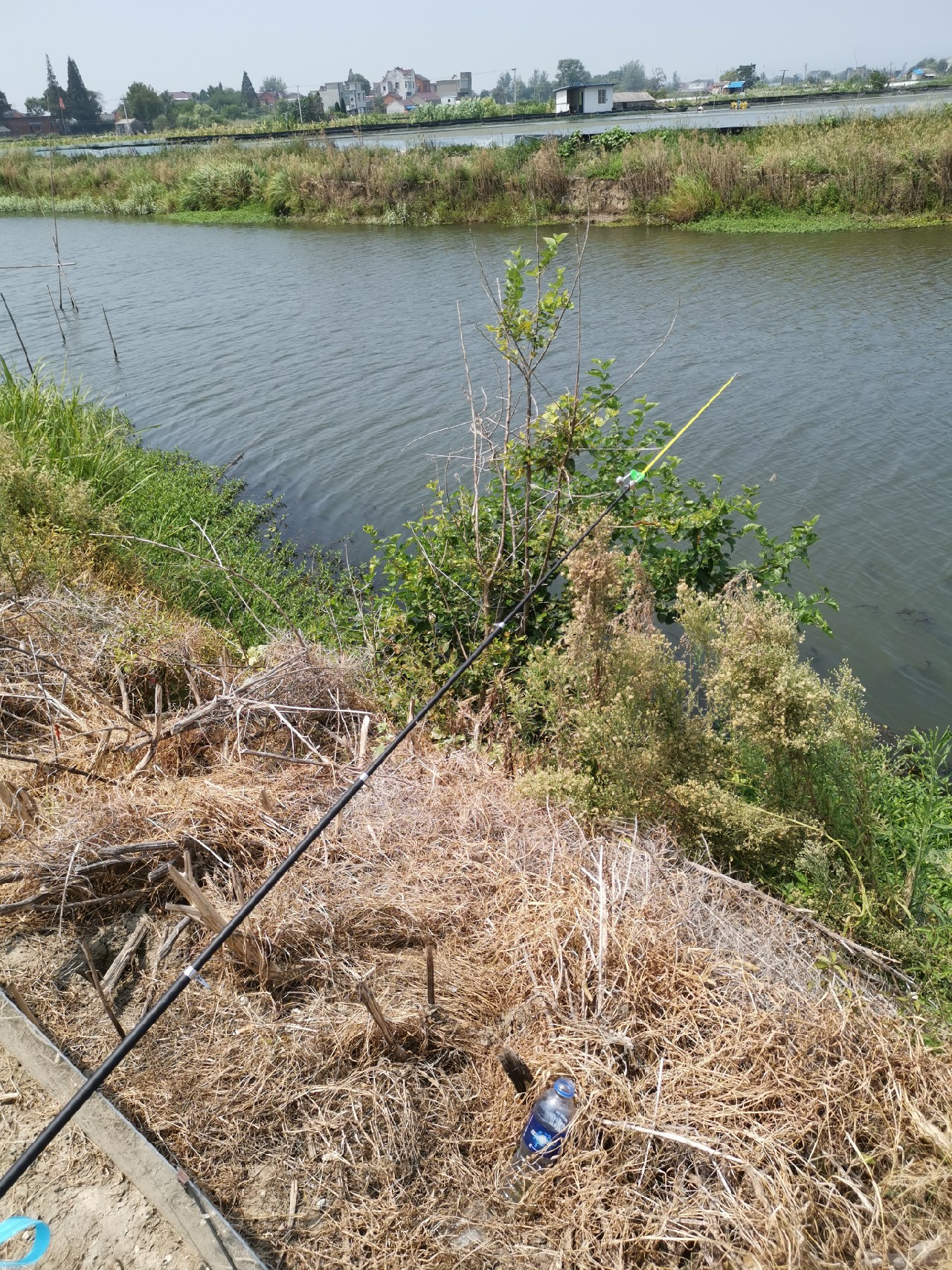 野河大板鲫钓着过瘾还好吃,野河大板鲫喜欢吃什么样的饵料