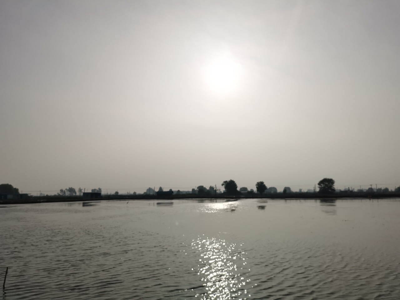 野河大板鲫钓着过瘾还好吃,野河大板鲫喜欢吃什么样的饵料