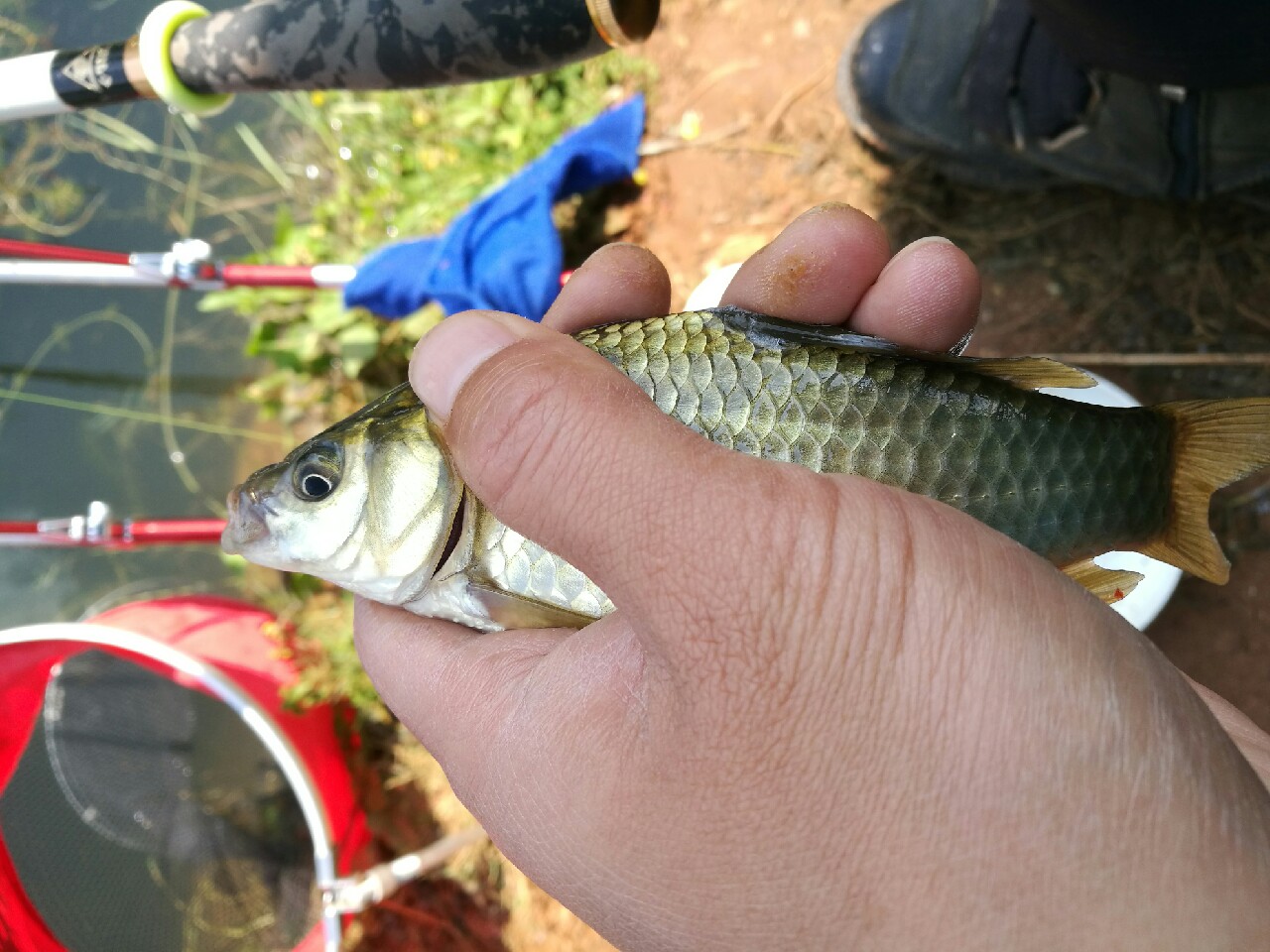 钓鱼爆护口诀100句,为钓鱼付出过哪些努力