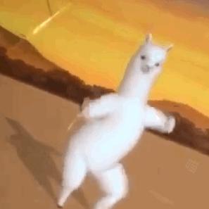 留学申请外币信用卡,留学申请国外信用卡