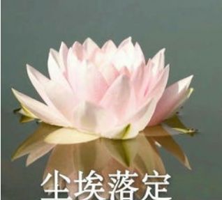 撒币+“免签”能救观光？台当局狂砸36亿新台币真的有用吗……